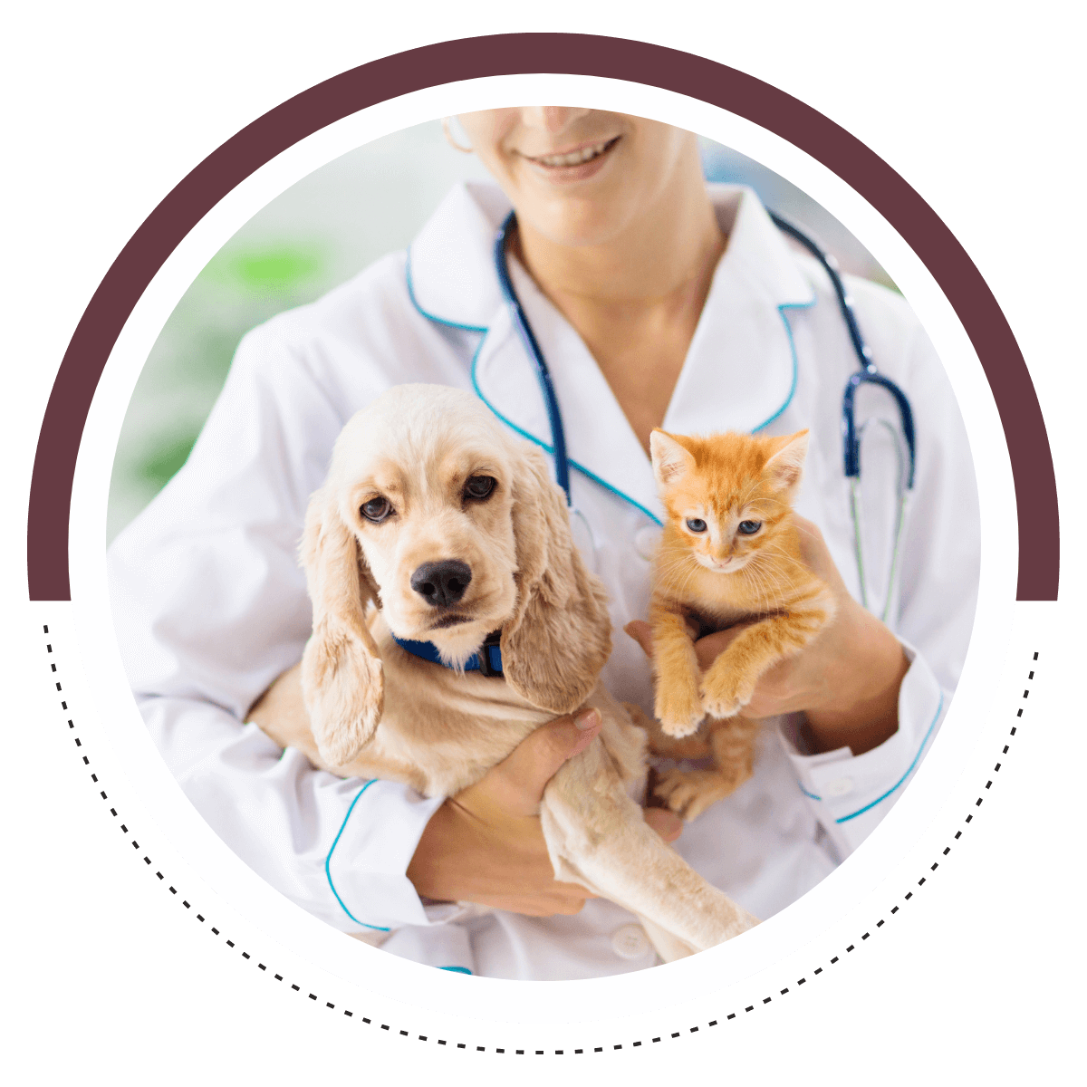 vet holds a puppy and a kitten